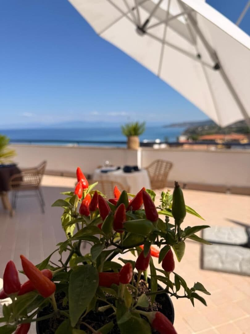 I peperoncini rossi in vaso sul roof top, con l'ombrellone e il mare