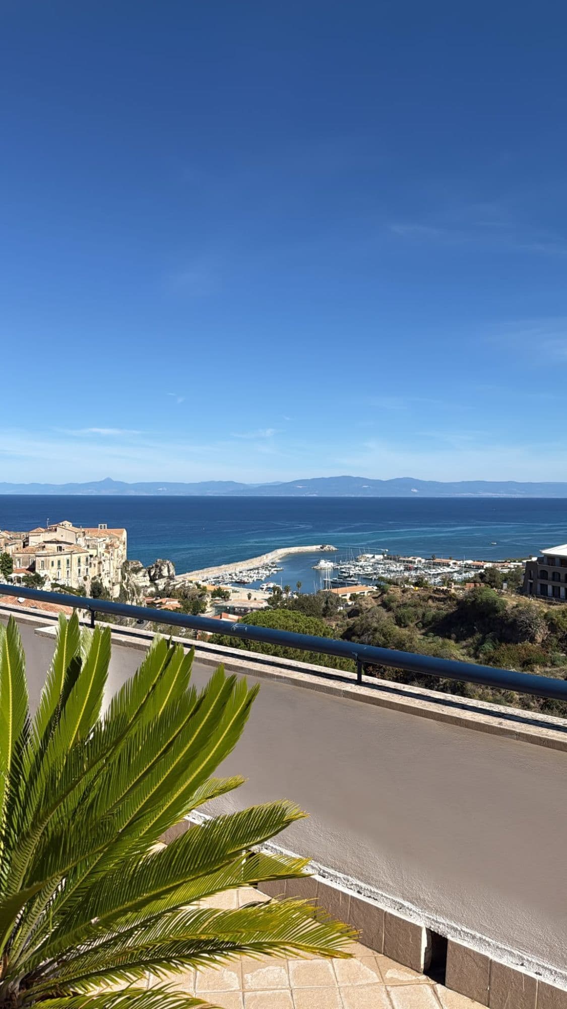 Il roof top di Emmesse: la cycas in primo piano, sotto il porto turistico e la rocca di Tropea, il cielo blu