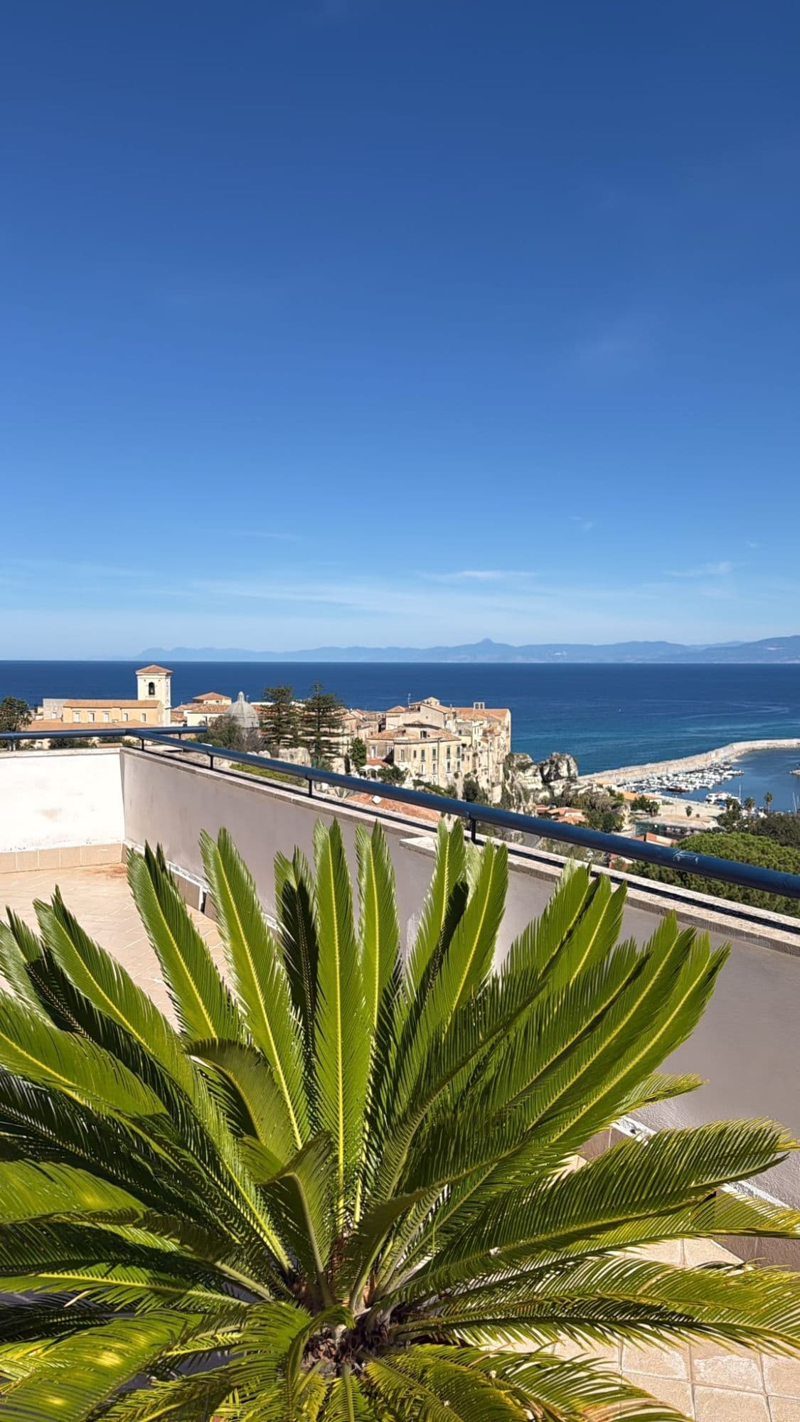 Dal roof top: la cycas, il parapetto, il porto e il mare di Tropea in una giornata limpida
